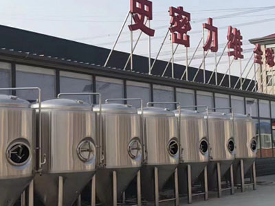 略阳精酿啤酒设备厂—市场规模与跨界新需求
